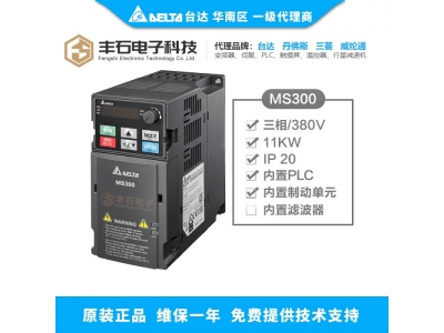 智能制造時代—隆重推出精巧標(biāo)準(zhǔn)型矢量控制臺達(dá)變頻器MS300系列
